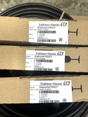 Endress Hauser MX21-21JM0/0 Υψηλής ακρίβειας χωρητικός διακόπτης επιπέδου για έλεγχο βιομηχανικών διεργασιών