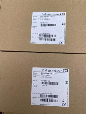 Endress Hauser FTL31-13X4/0 Αξιόπιστος διακόπτης επιπέδου πιρούνι