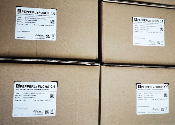 Pepperl Fuchs ENI90PL-H25JA5-1024UD1-RC1 Ενδεικτής κλιματικής περιστροφής με χρόνο άνοδος 300 ns και σφάλμα γραμμικότητας 0,1%