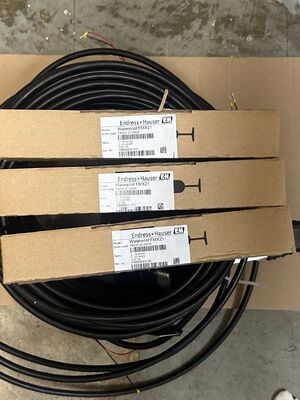 Endress Hauser MX21-21JM0/0 Υψηλής ακρίβειας χωρητικός διακόπτης επιπέδου για έλεγχο βιομηχανικών διεργασιών