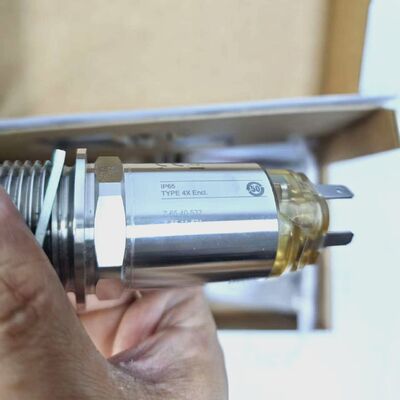 E+H TL31-1587/0 Διακόπτης Στάθμης Υγρών Liquiphant Vibronic